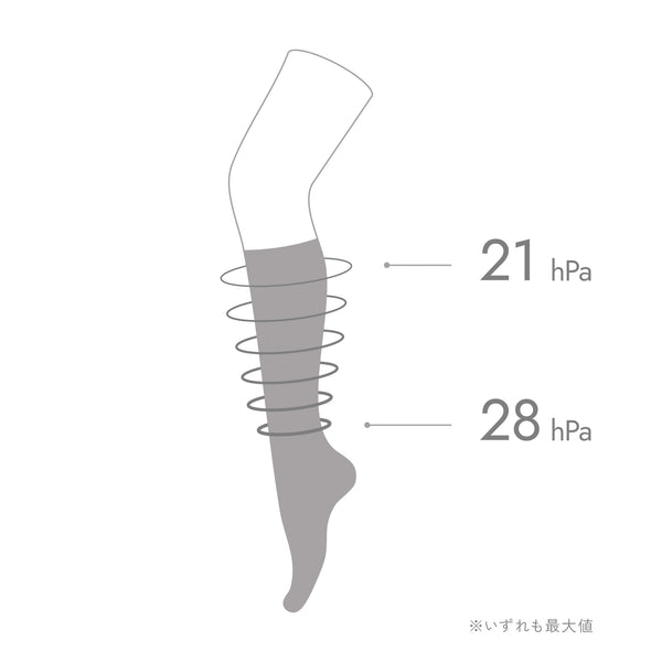 COTTON RIB SOX