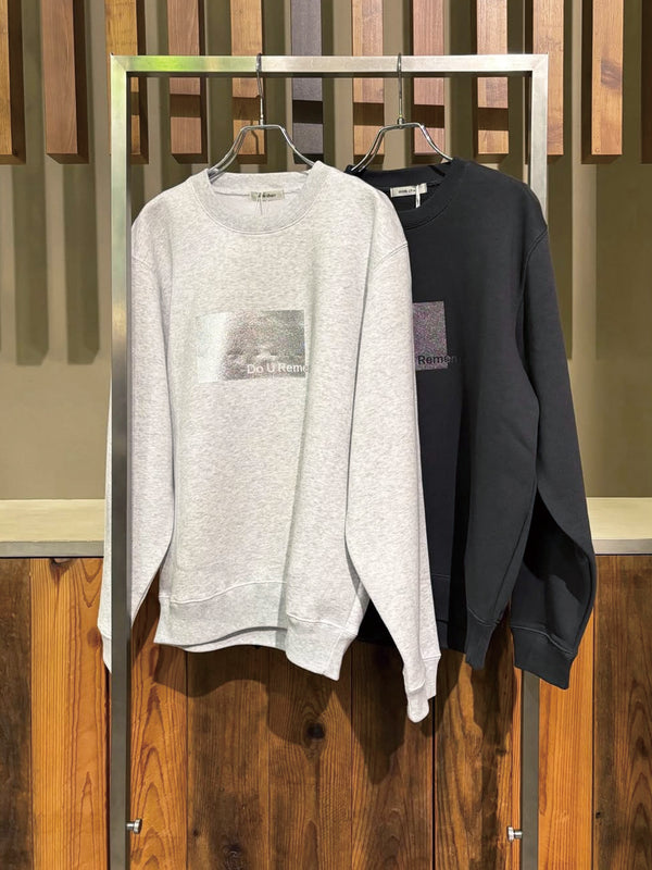 裏起毛ミラープリントSW