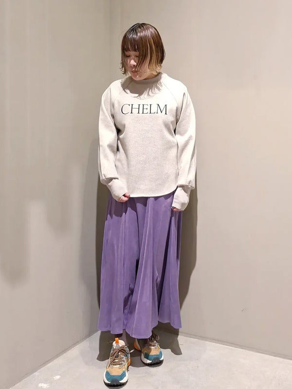 CHELMロゴニット