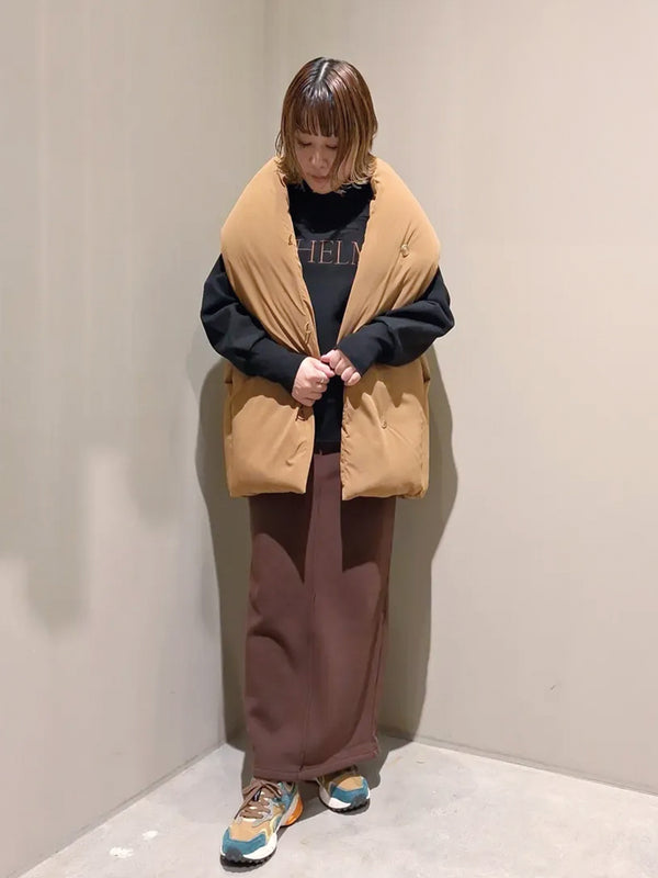 CHELMロゴニット