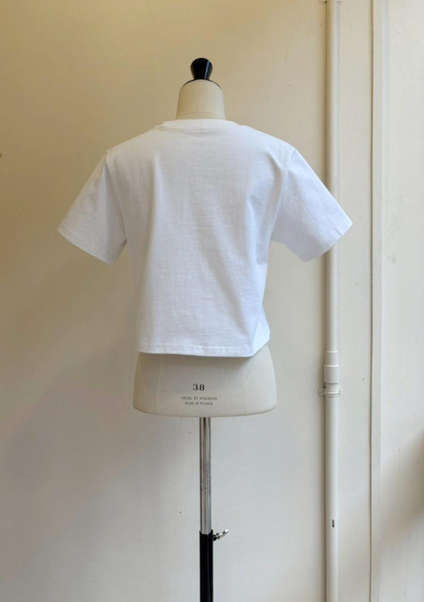 レースアクセントコンパクトT
